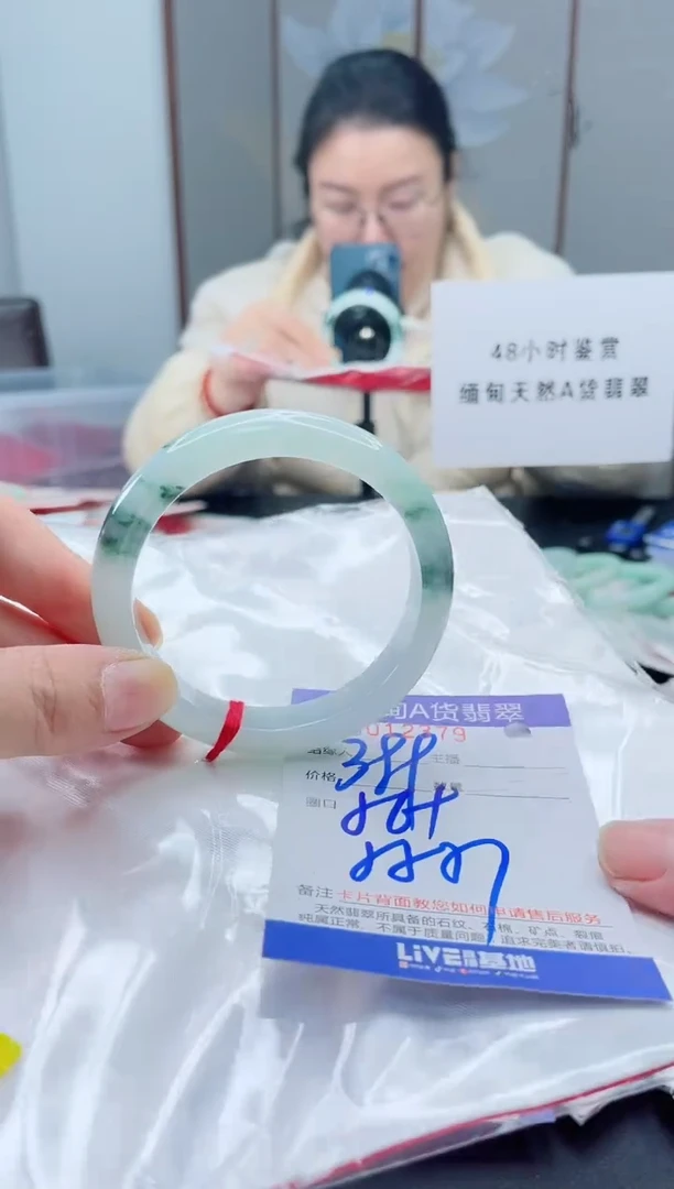 未镶嵌手镯翡翠我2