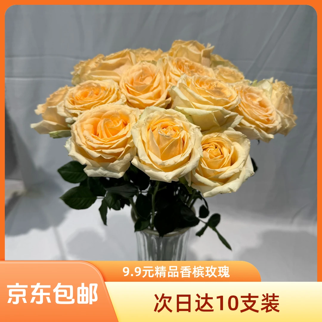 【次日达】香槟玫瑰10支 两单升级京东次日达送营养液三单送配草