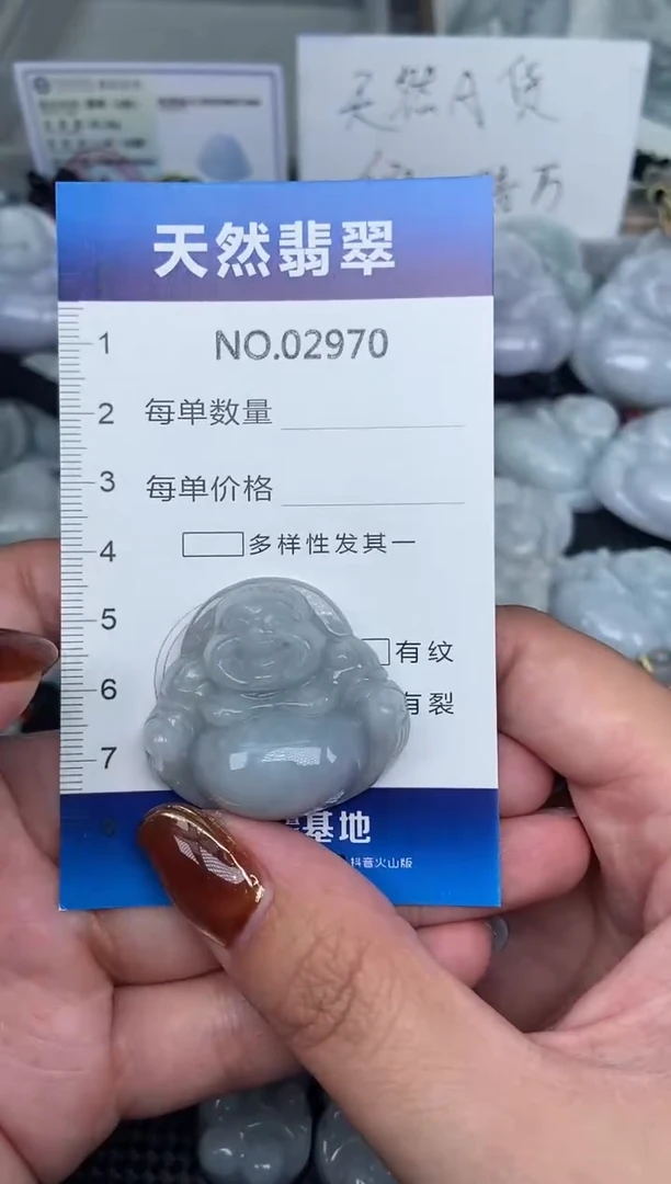 颈饰未镶嵌翡翠纯天然A货翡翠2970