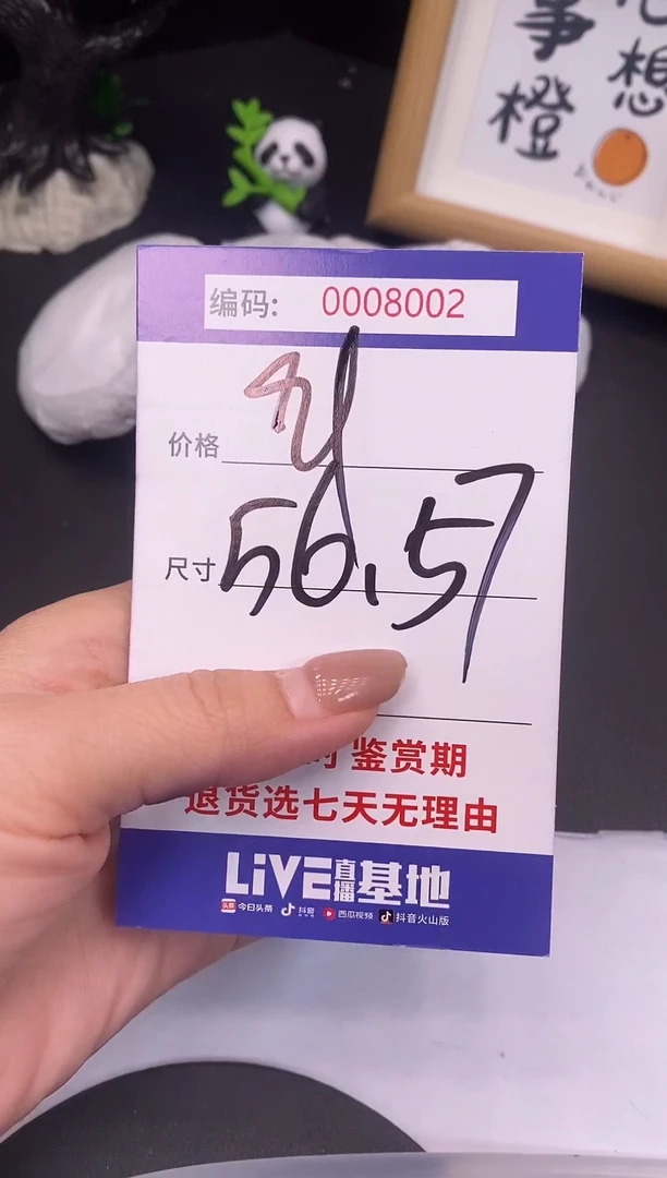 未镶嵌手镯翡翠0008002