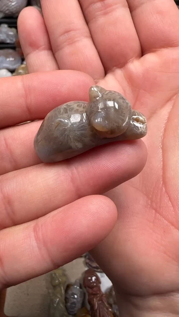 【闪购商品】硅化珊瑚（珊瑚玉）颈饰未镶嵌529