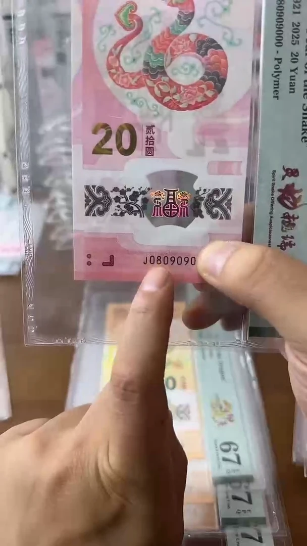 塑料080909080-蛇钞单张