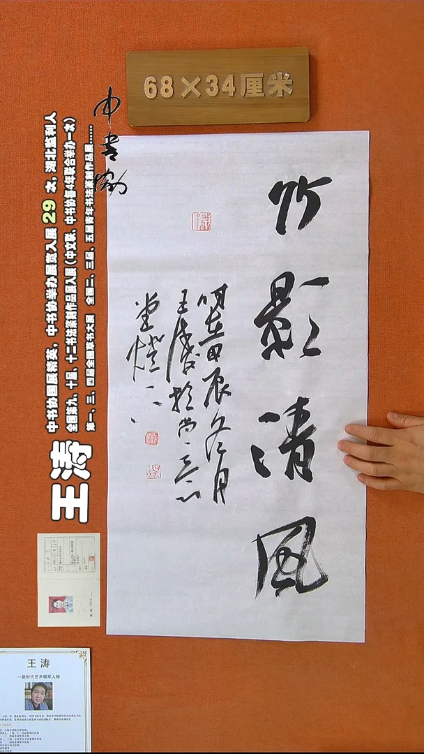 【闪购商品】书法290王涛书法作品