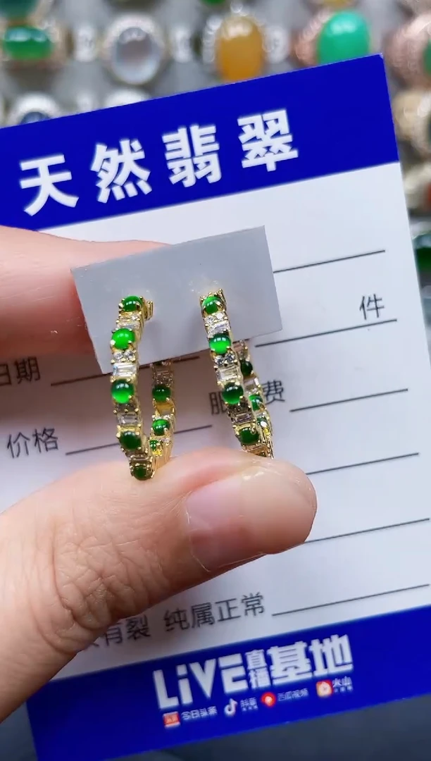 银S925镶嵌翡翠耳饰379