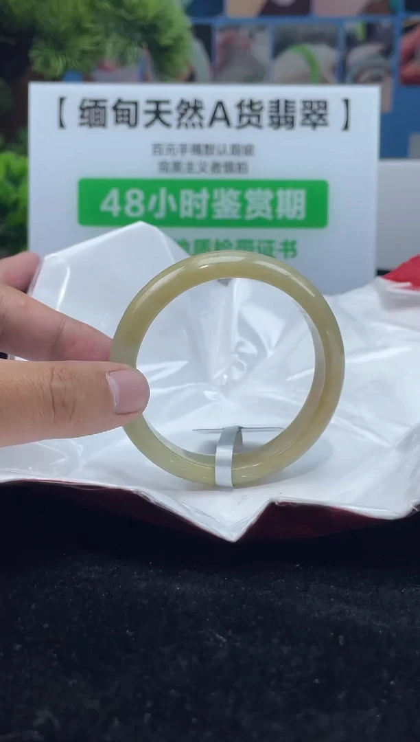 【闪购商品】翡翠手镯未镶嵌手镯4