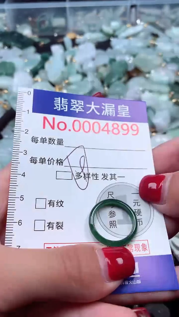 颈饰未镶嵌翡翠4899