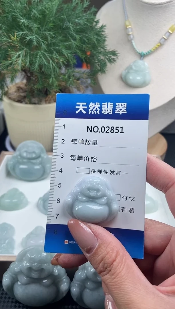 颈饰未镶嵌翡翠纯天然A货翡翠2851