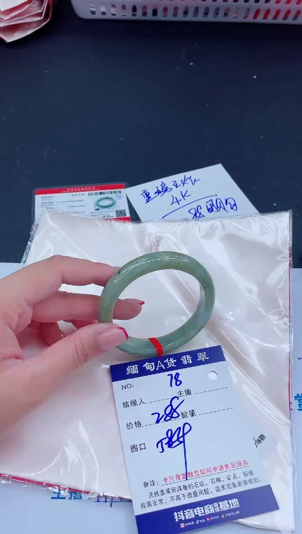 未镶嵌手镯翡翠288
