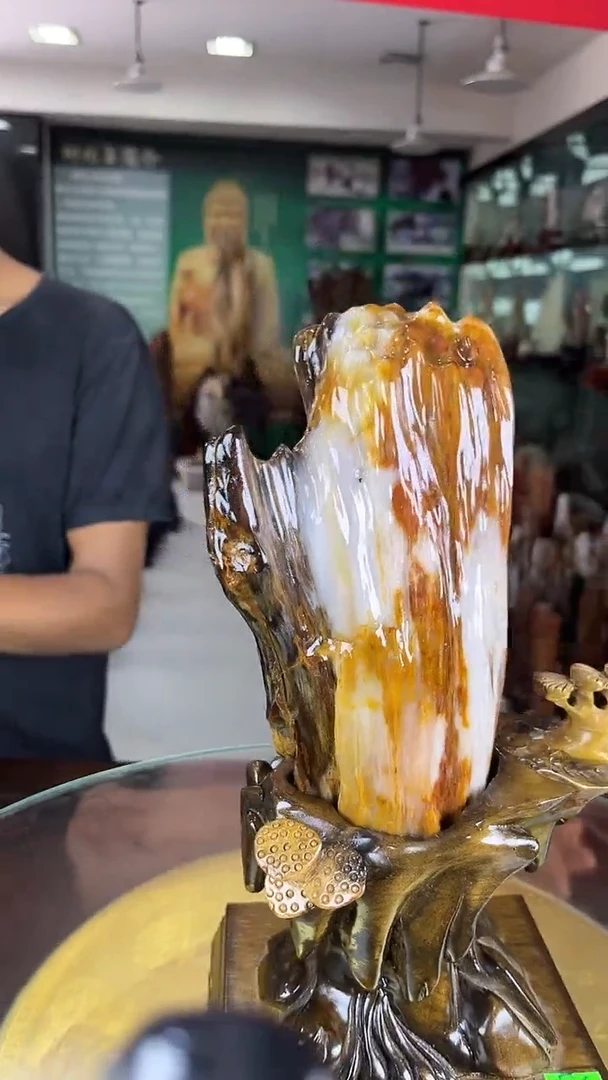 未镶嵌珠宝奇石硅化玉缅甸天然树化玉摆件