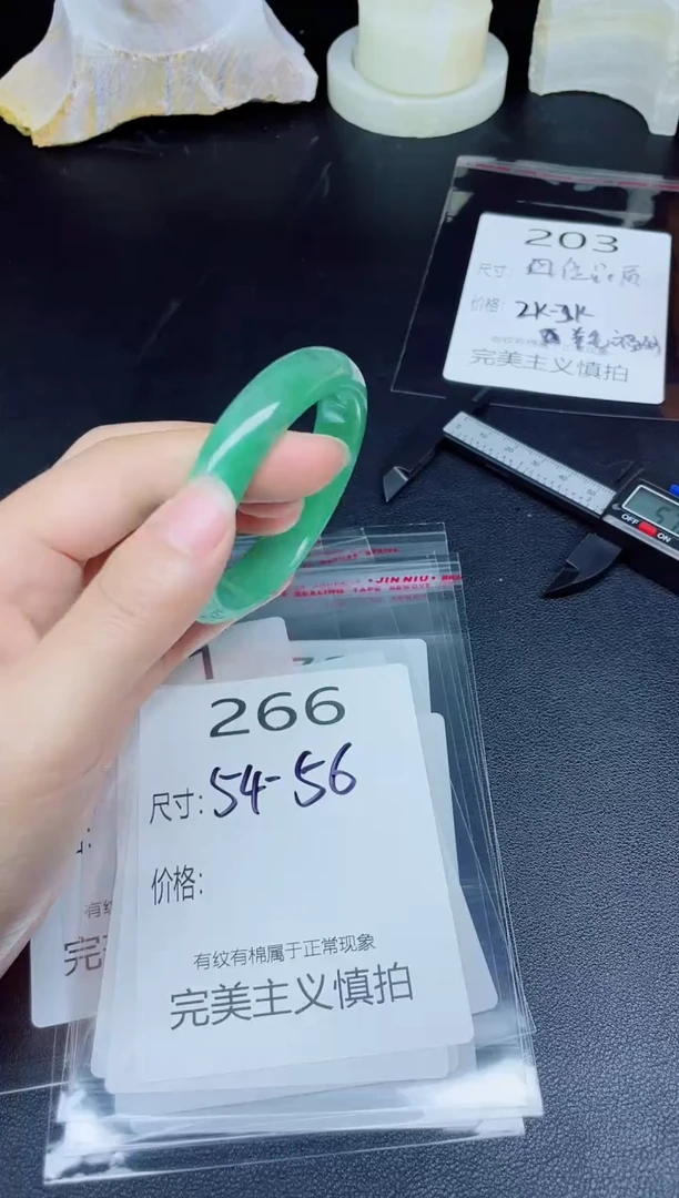 未镶嵌手镯翡翠266