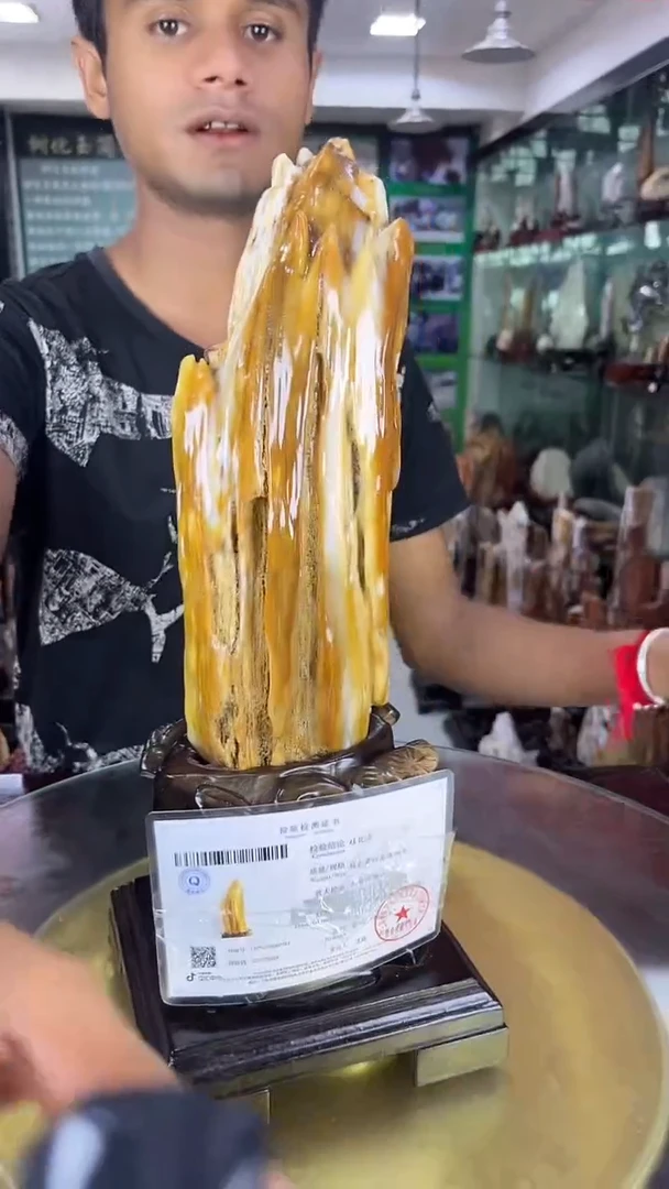 未镶嵌珠宝奇石硅化玉缅甸天然树化玉摆件