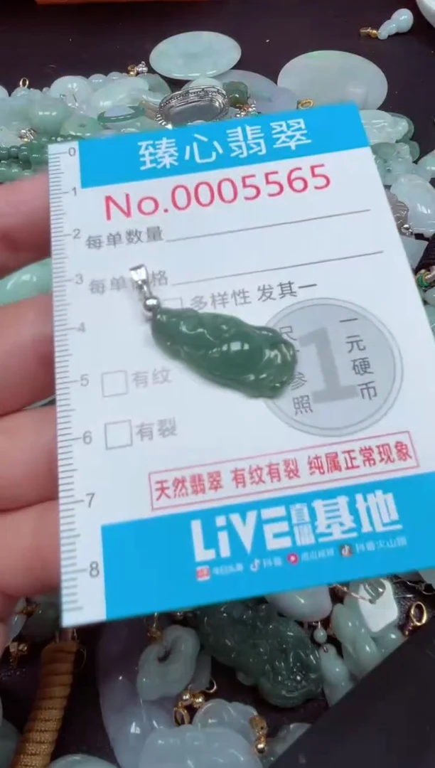 颈饰未镶嵌翡翠5565