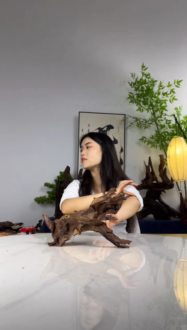 晨*拍沉木定向链接编号15