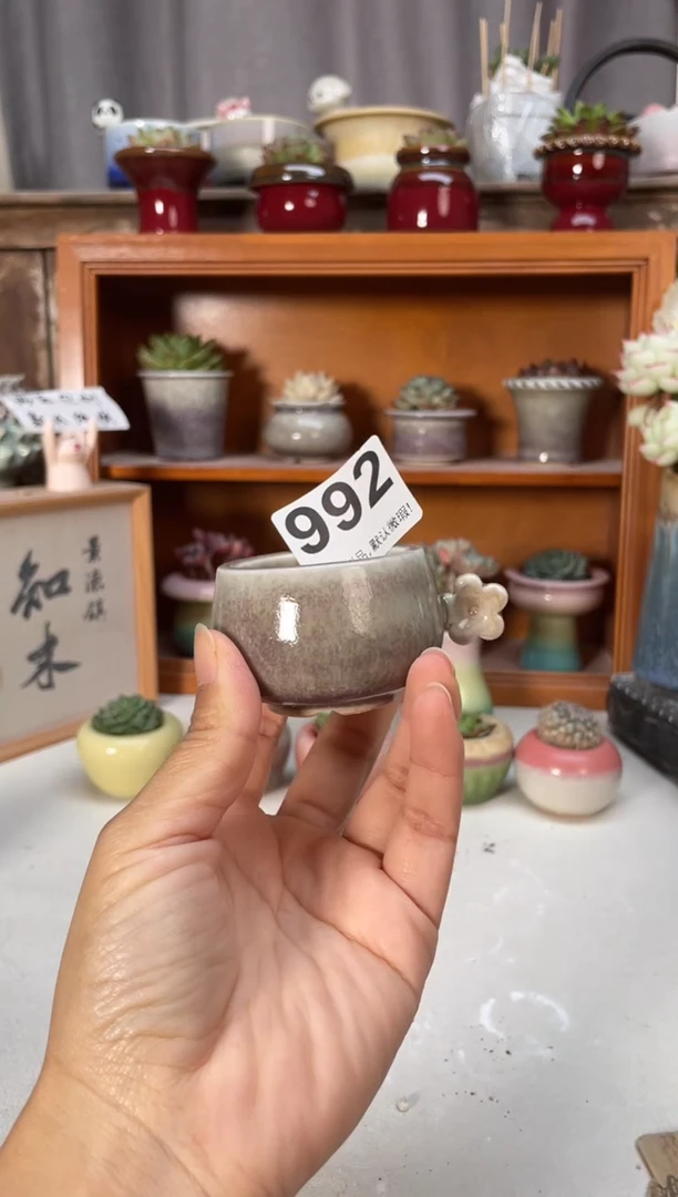 瓷片992小芳直播编号