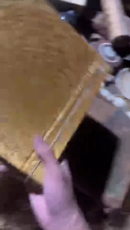 香榧木（1个黄本）