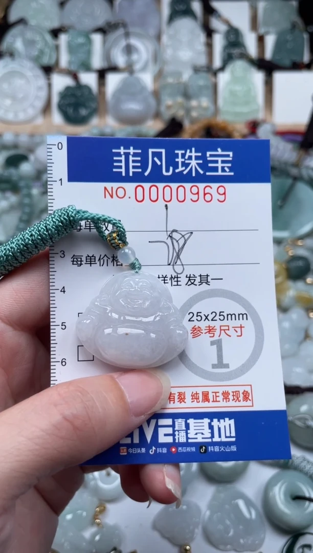 翡翠未镶嵌颈饰00..0969