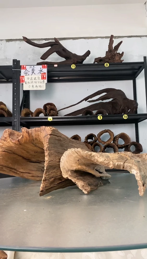 金**煌鱼缸爬宠造景素材470