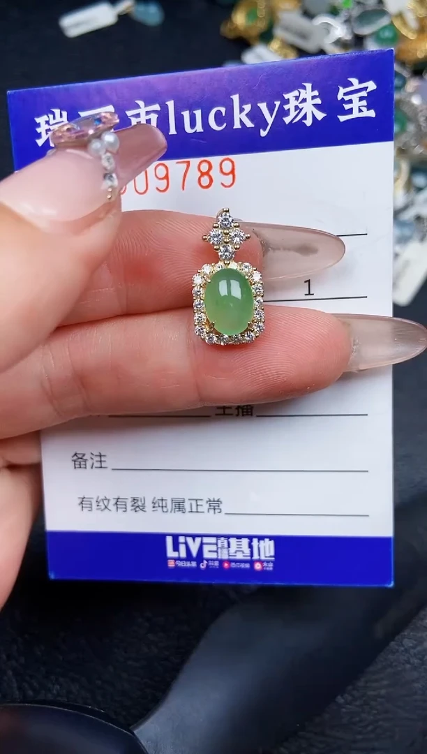 翡翠银S925镶嵌颈饰9789