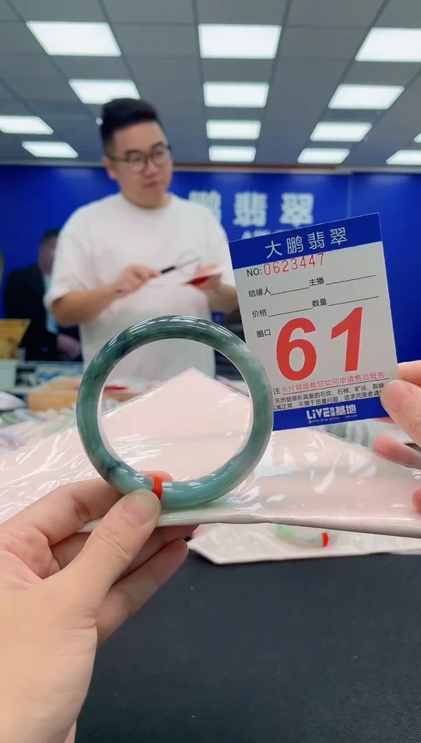 未镶嵌手镯翡翠AAAAAAAAA