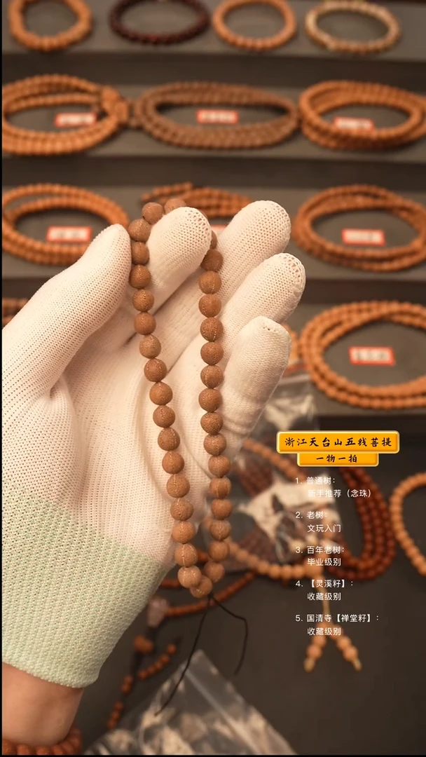 吊坠五线菩提??手持