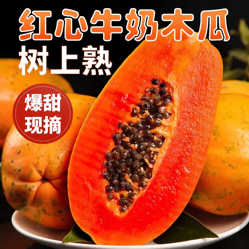 雷州红心木瓜树上熟冰糖红心牛奶木瓜爆甜多汁软糯香甜新鲜水果