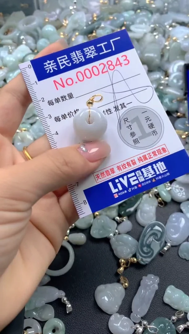 颈饰未镶嵌翡翠2843