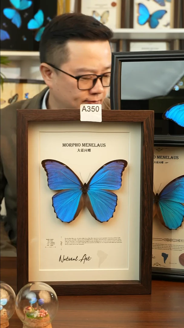 大蓝闪-英文(A4鸡翅木框)A350