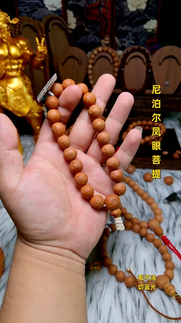 手串凤眼菩提开播福利13