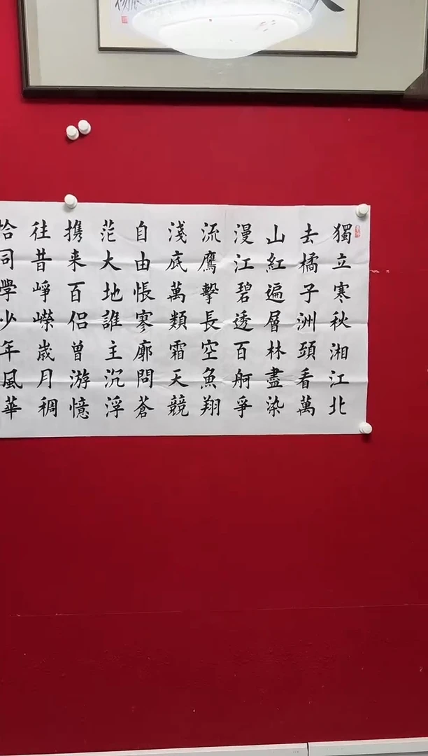 书法YH软片 012 独立寒秋