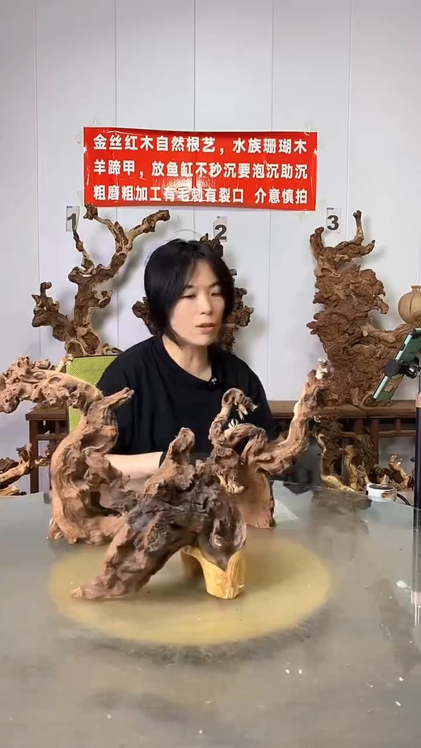 香榧木金丝红木 羊蹄甲