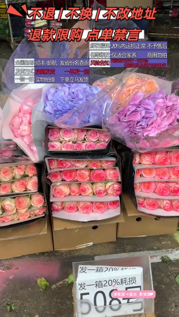 508号♥含20%耗损发一箱