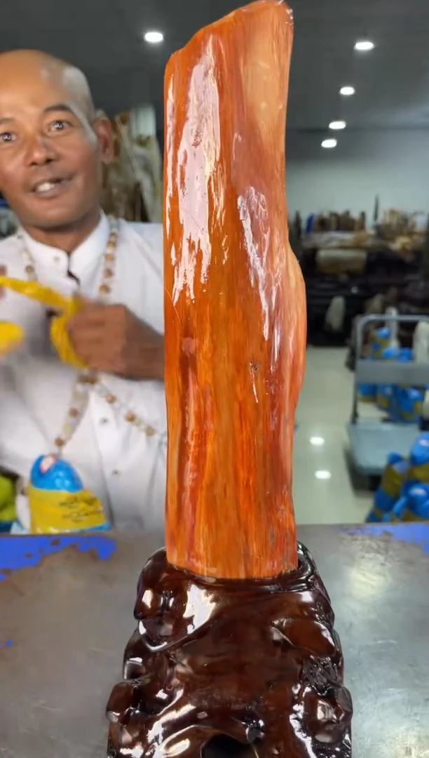 未镶嵌摆件硅化玉2