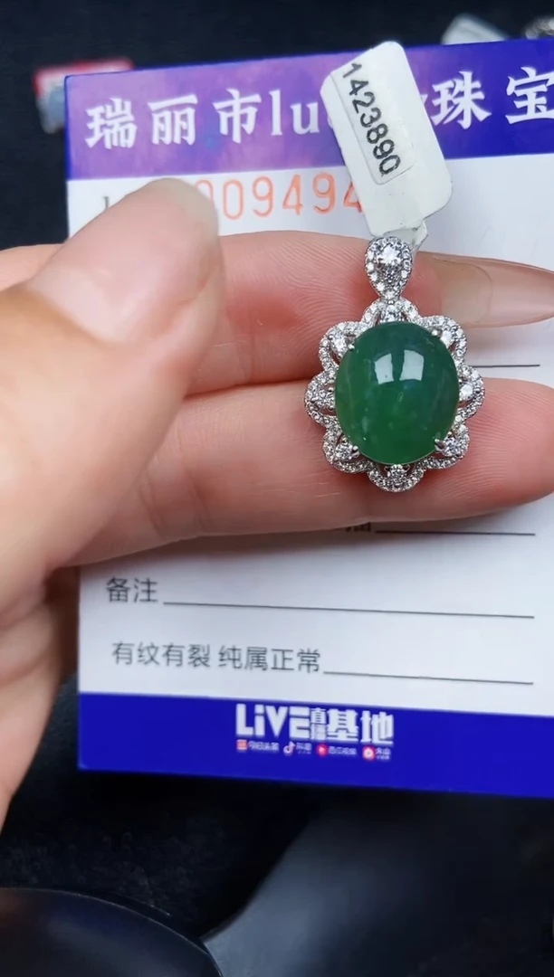 翡翠银S925镶嵌颈饰9494