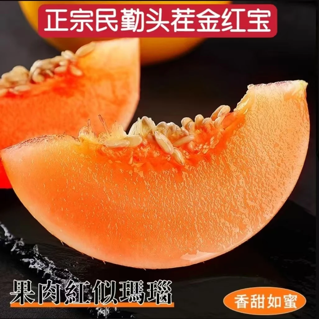 精品果王民勤蜜瓜沙漠甜瓜2-4个金红宝头茬鲜果产地发民勤蜜瓜