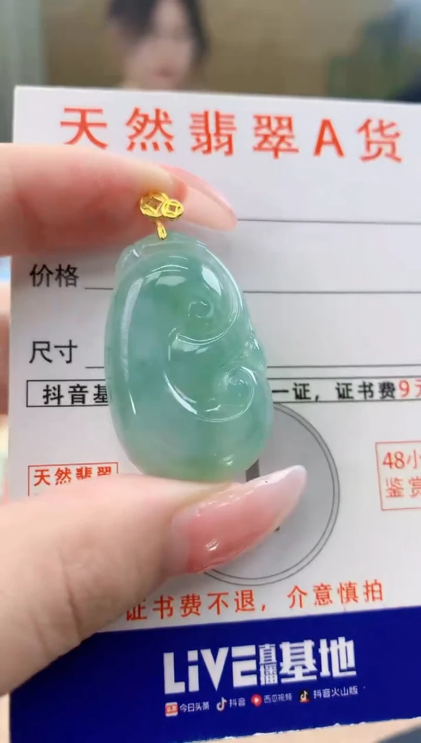颈饰未镶嵌翡翠天然A货翡翠挂件