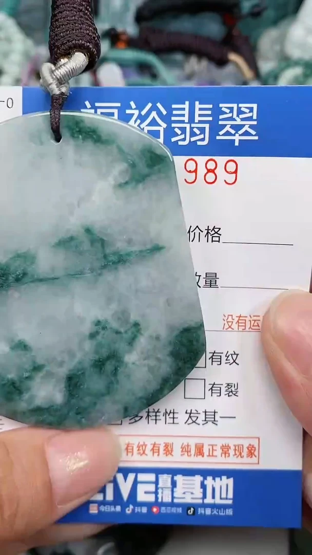 翡翠未镶嵌颈饰...0001989