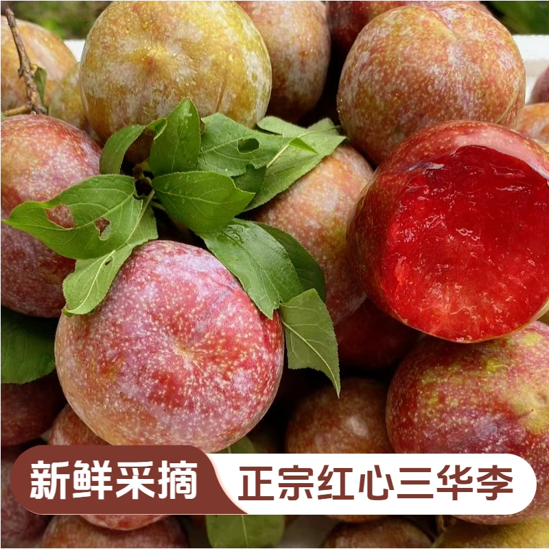 正宗广西红心三华李子酸甜多汁新鲜当季孕妇水果产地非钱排三华李