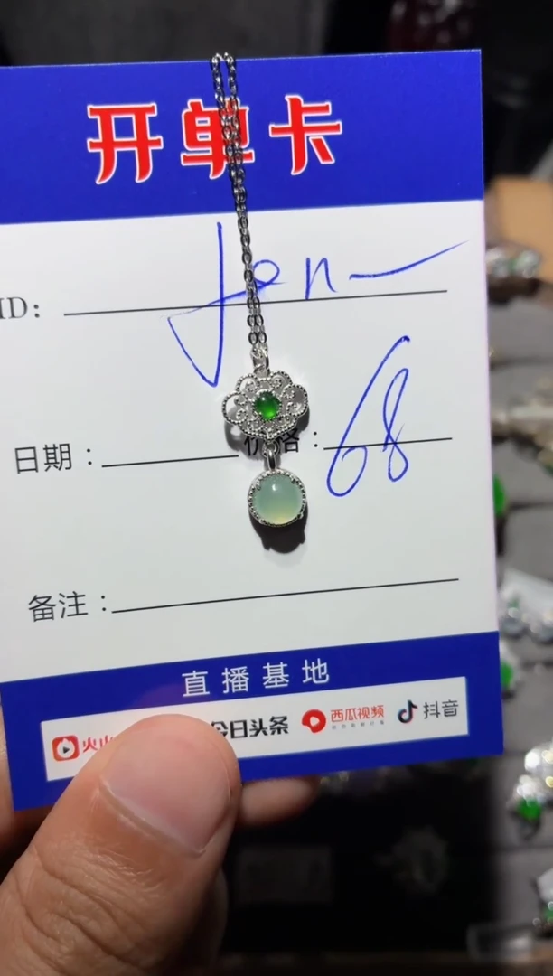 翡翠银S925镶嵌颈饰J****9向 Jenny2009