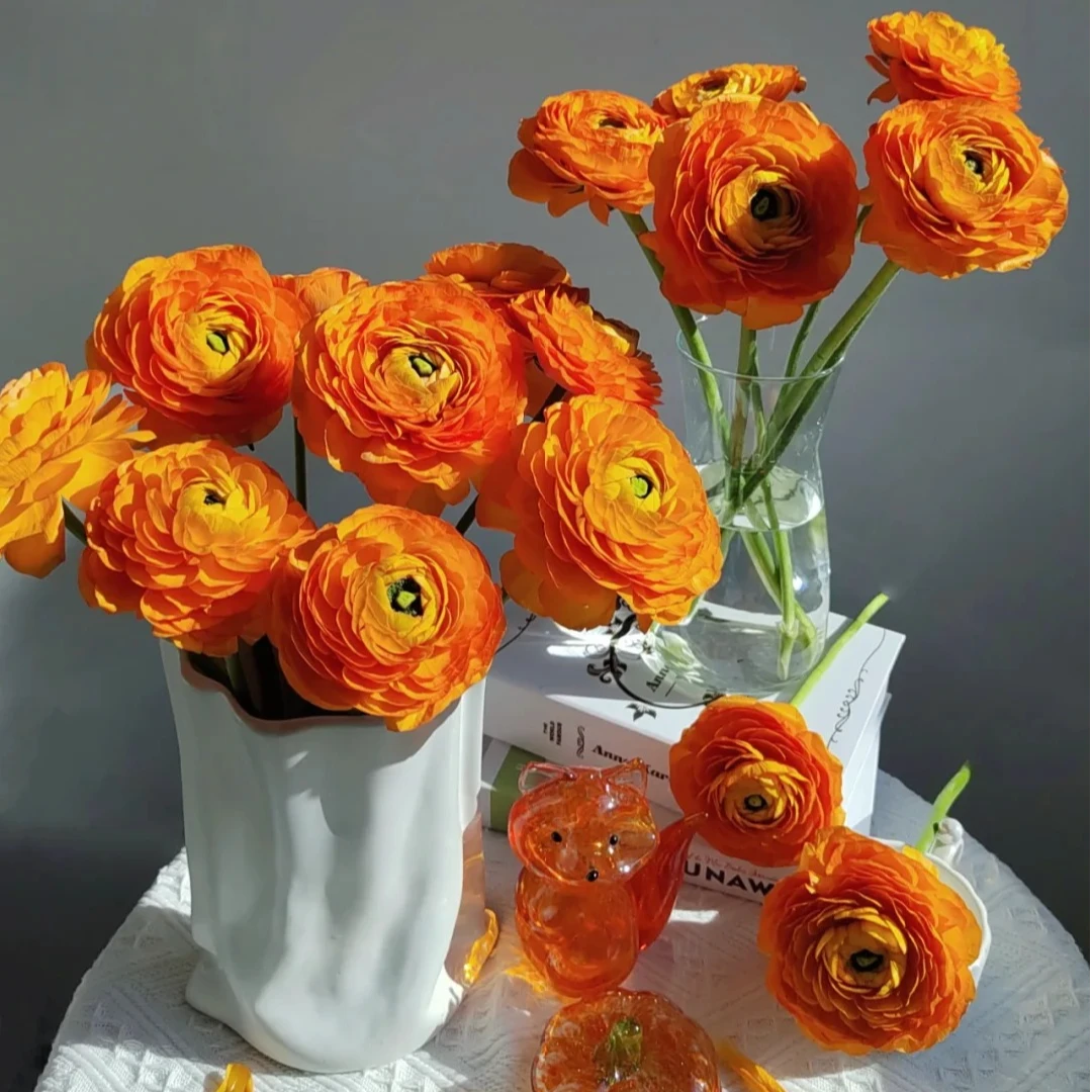 【王安园艺】高品质橙色洋牡丹基地直发高品质鲜切花