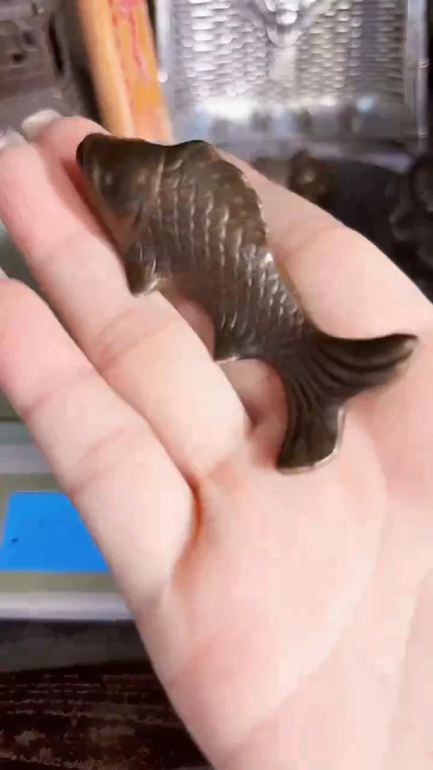 岳卫铜器专属链接