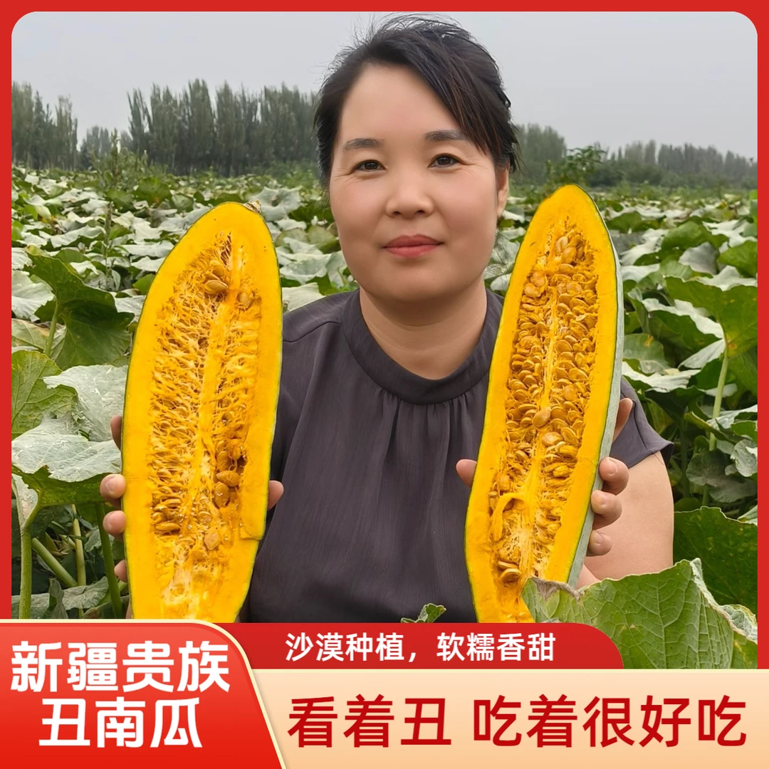 【新疆贵族丑南瓜】新疆直发沙漠种植口感细腻软糯香甜软糯粉糯可口