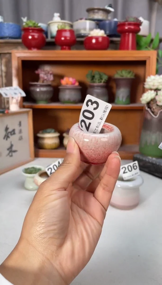 瓷片203福利知木小芳花盆