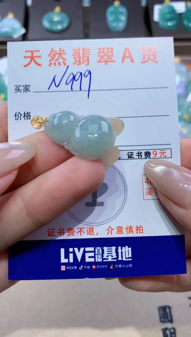 颈饰未镶嵌翡翠天然缅甸翡翠A货挂件