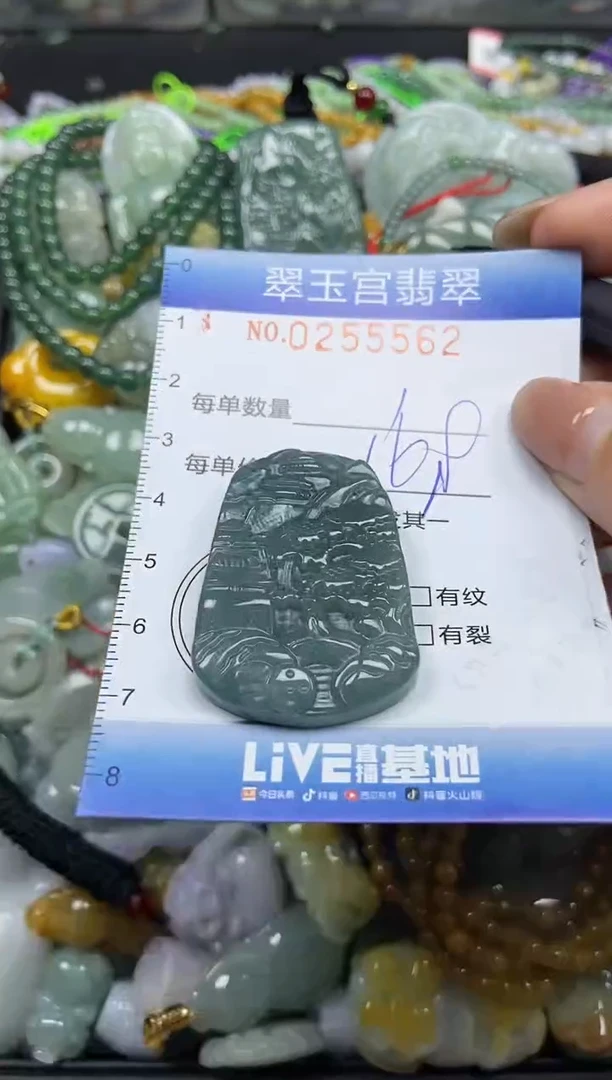 颈饰未镶嵌翡翠闪购C0255562