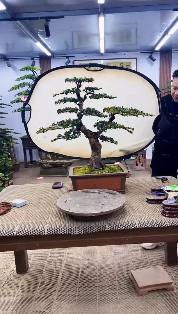 【闪购商品】0000000000