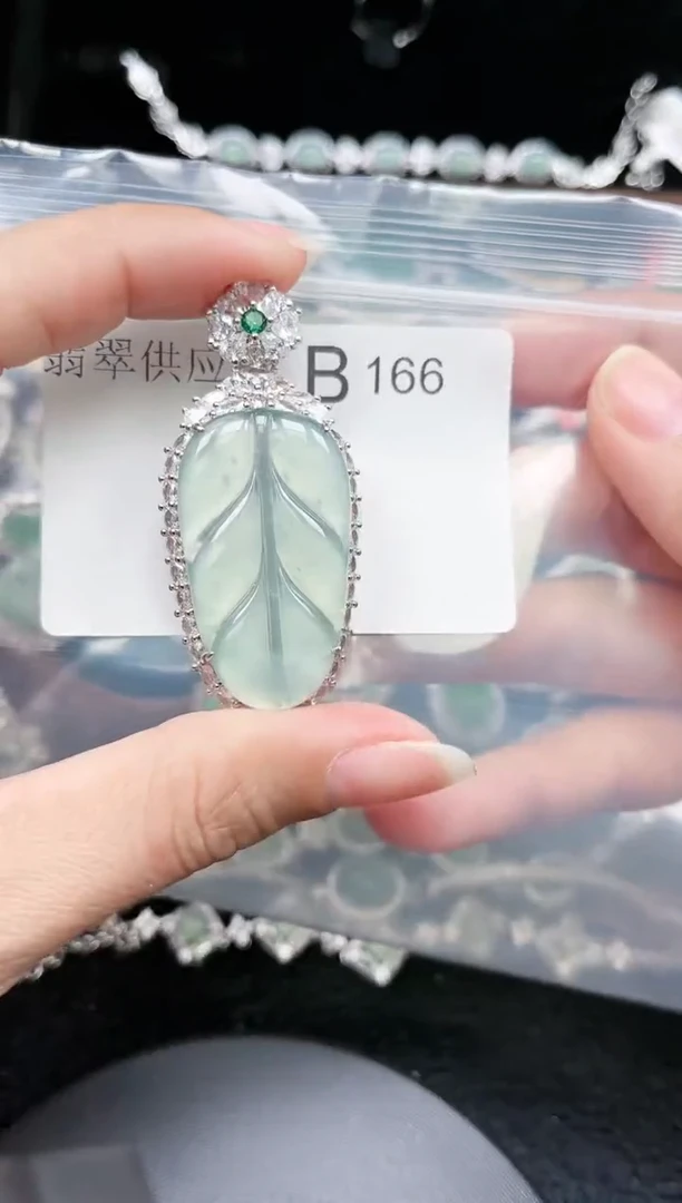 【闪购商品】翡翠颈饰未镶嵌赠皮绳166