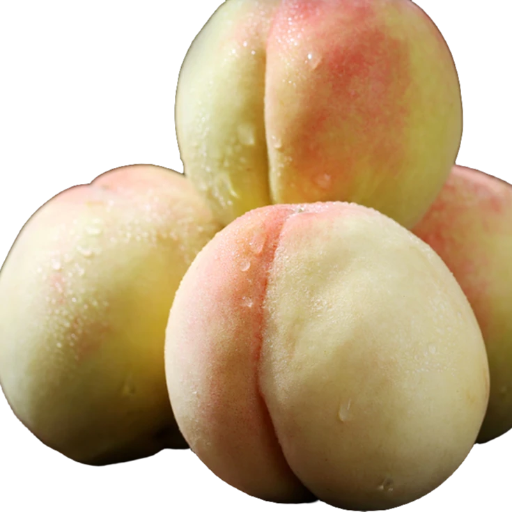 S【顺丰明天到】5-6两 8枚 正宗无锡阳山水蜜桃当季雨花露整箱精美礼盒装5斤左右当季新鲜水果桃子江苏省