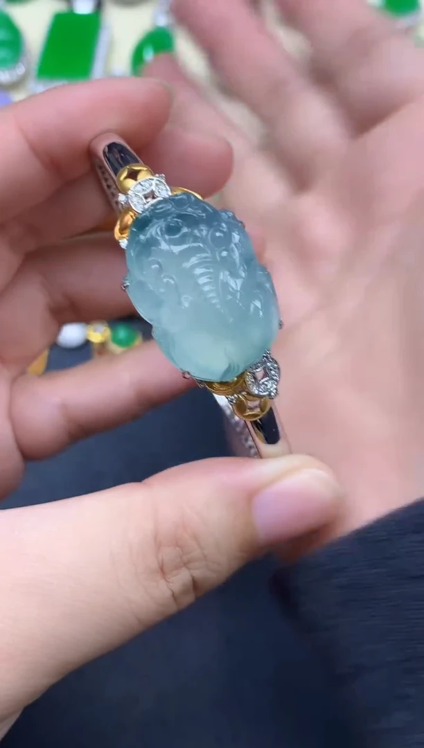 18K金镶嵌手镯翡翠316-中国好珍宝