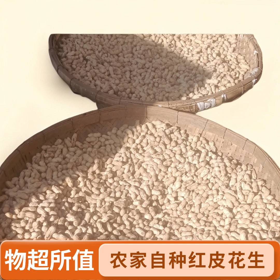 2025年新花生新货红皮生花生花生米农家自种红皮花生粉皮花生