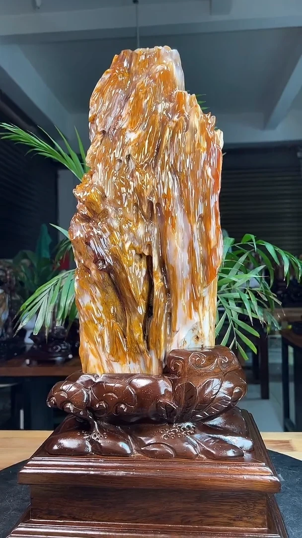 未镶嵌硅化玉（树化玉）珠宝奇石登****者2566